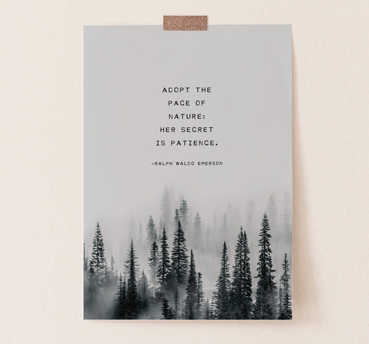 Adopt the pace of nature: her secret is patience. -Ralph Waldo Emerson.